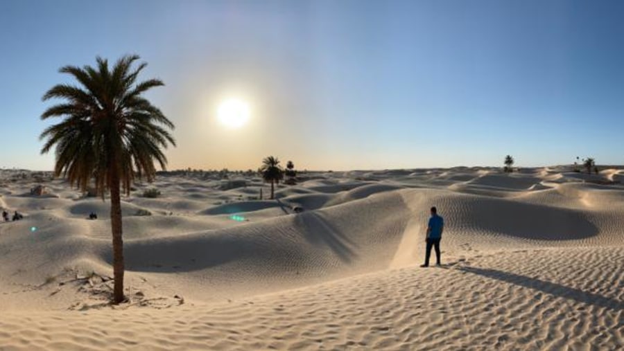 Tunisia's Desert