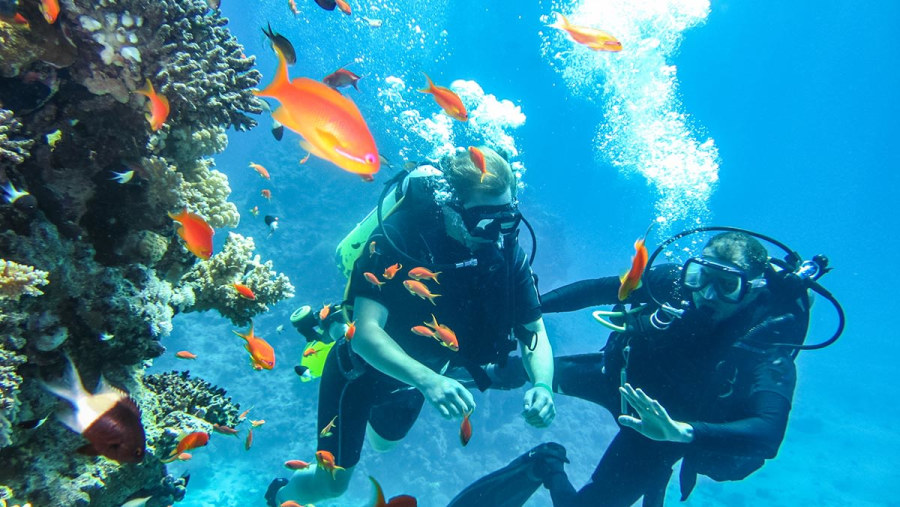 Snorkelling Fun in the Red Sea