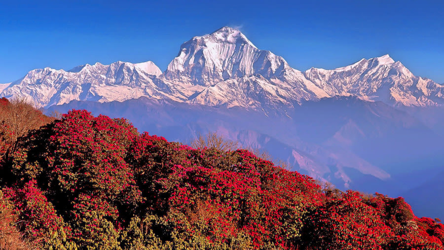 Annapurna Ranges from Poon Hill