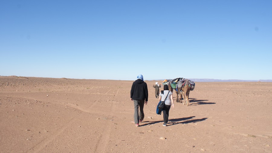 Camel trekking in the Morocco Sahara Desert