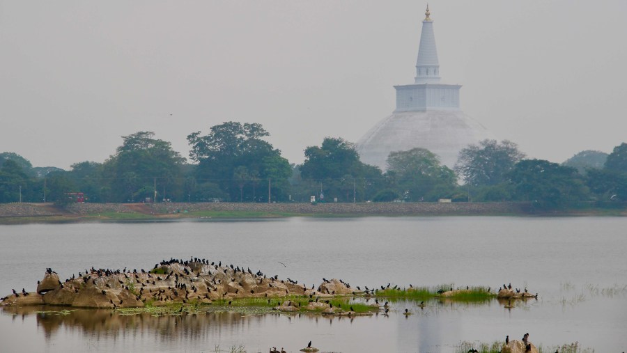 Ruwanwelisaya Dagoba