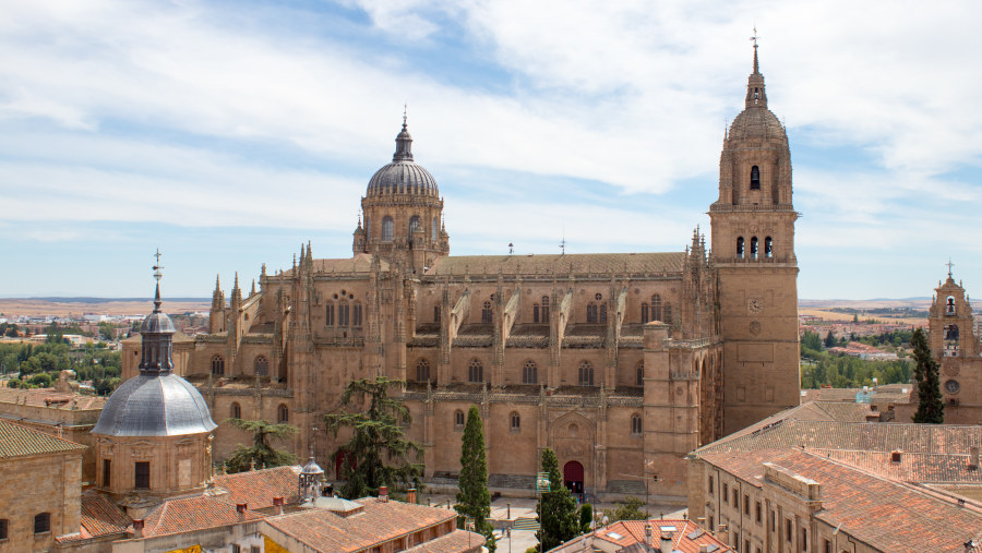 Salamanca Cathedral