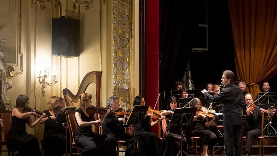 Musicians At Danube Symphony Orchestra