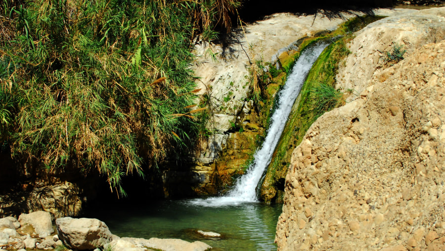 Enigmatic Ein Gedi Springs in Israel