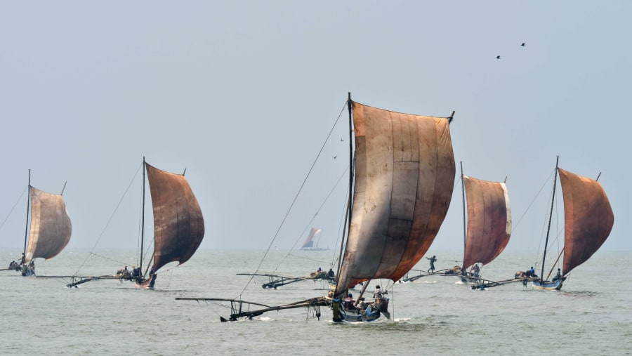 Traditional fishing boats in Negombo