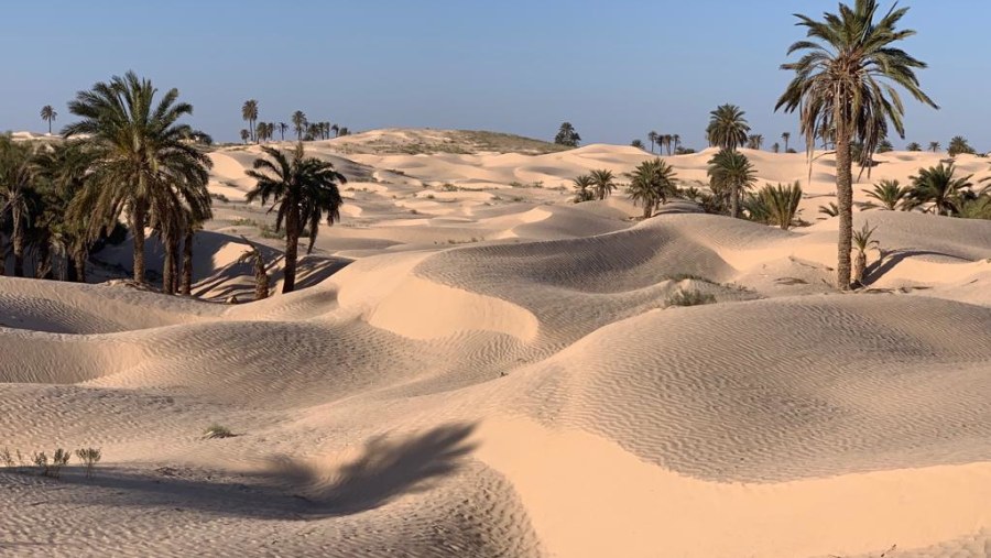 Sand Dunes at Tunisia