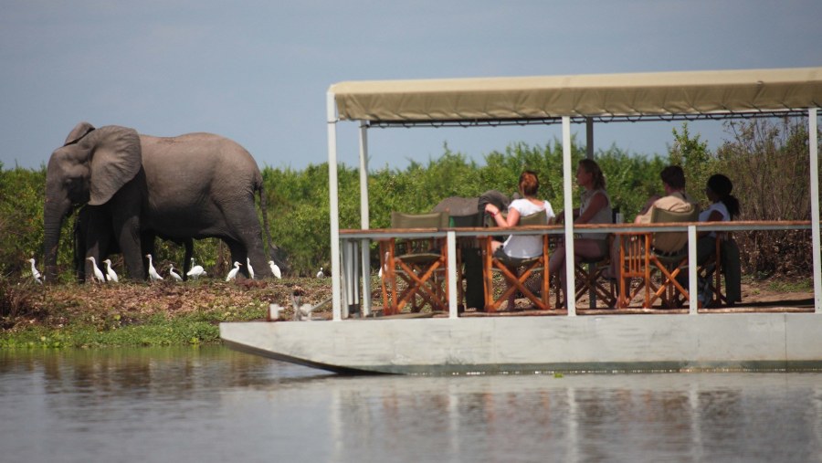 Boat safari in Selous Game Reserve