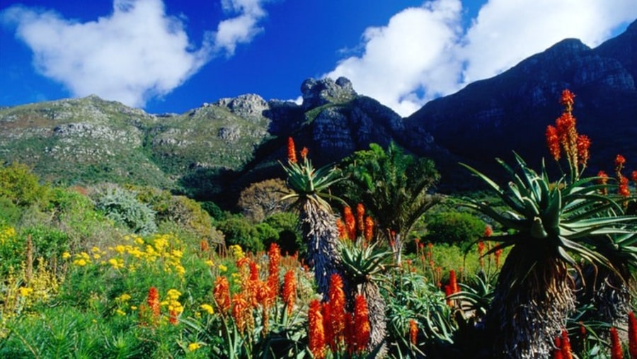 View of the Table Mountain