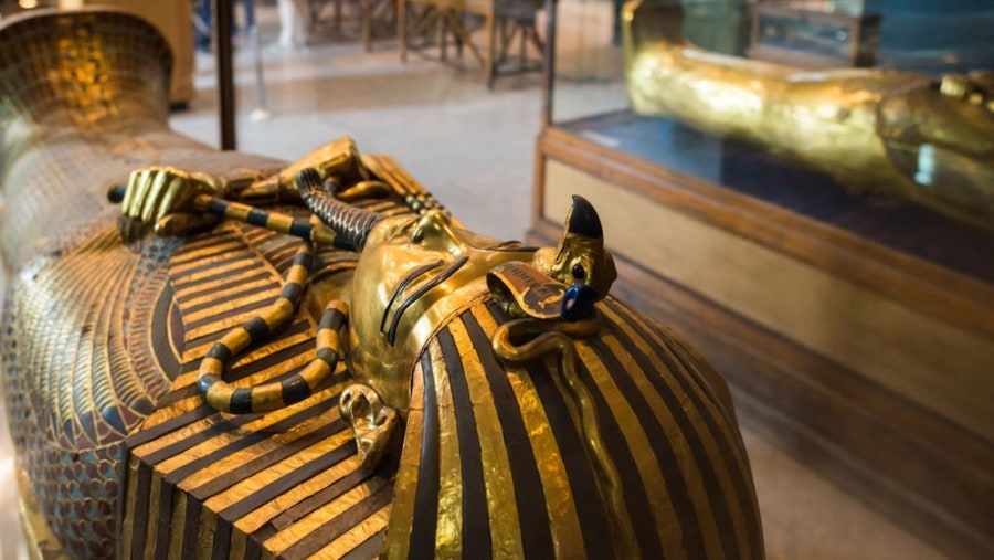 Coffin of a Mummy