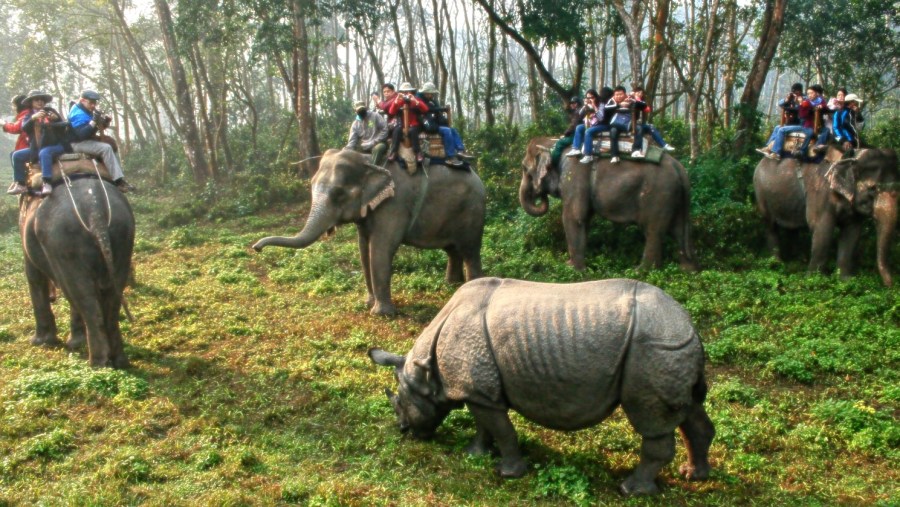 Jungle Safari at the Elephant Breeding Centre