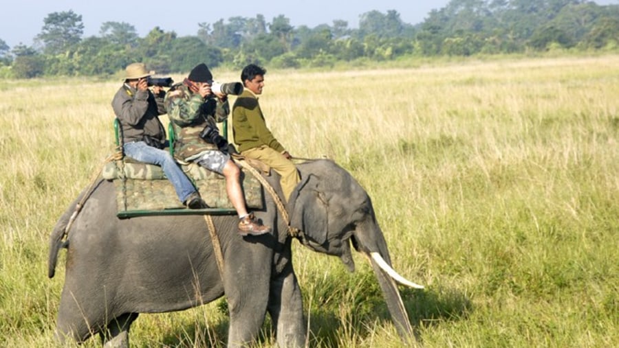 elephant ride at Kaziranga National Park 