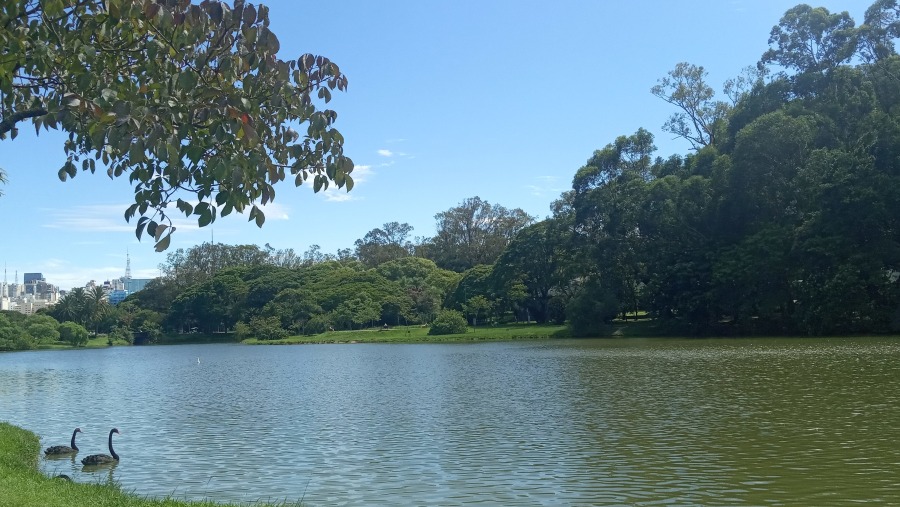 Ibirapuera Park