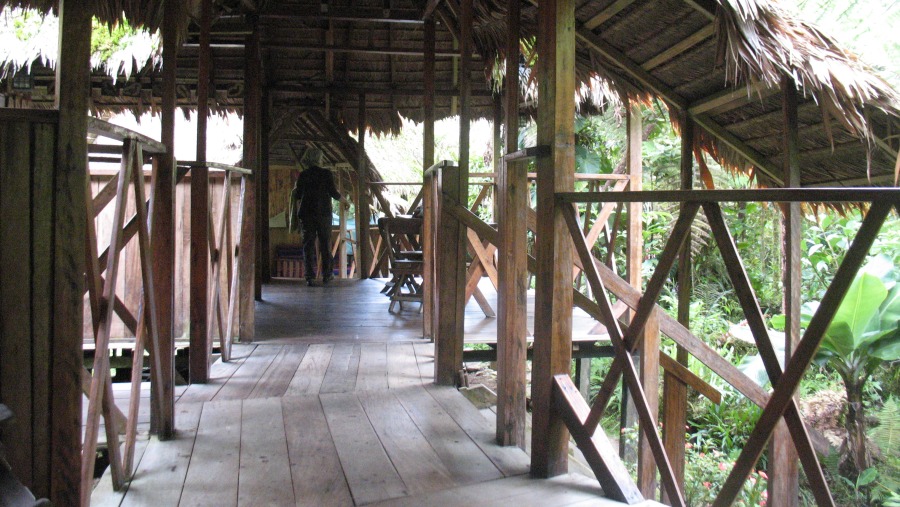 lodge in the cloud forest