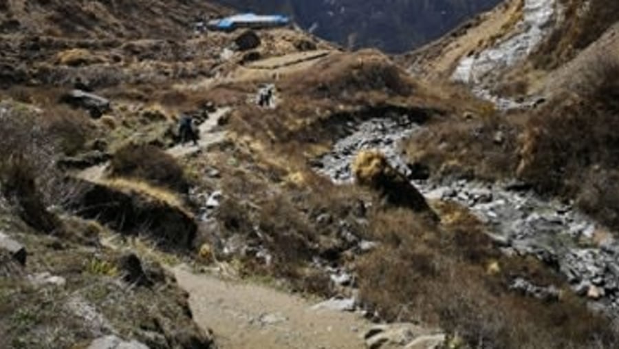 While on the way to Annapurna Base Camp, at MBC
