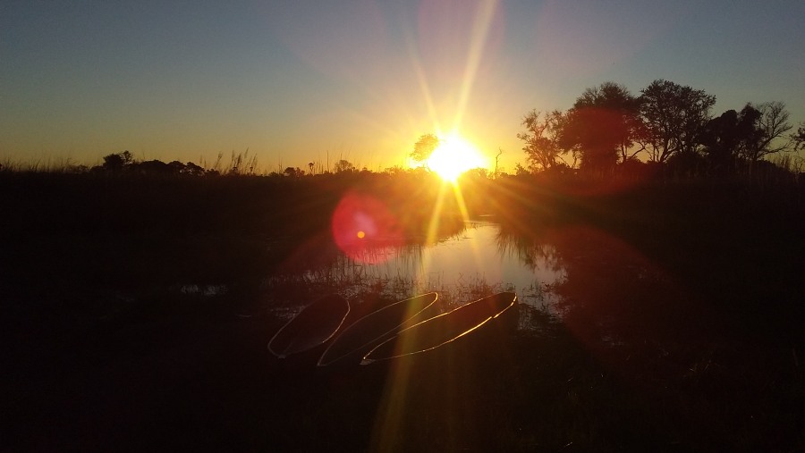 Okavango Delta