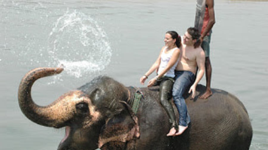 Elephant Bath in Rapti River, Chitwa 