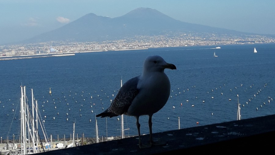 Naples city and Mount Vesuvius