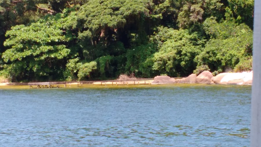 lagoa da conceição