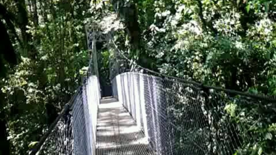 Arenal Hanging Bridges