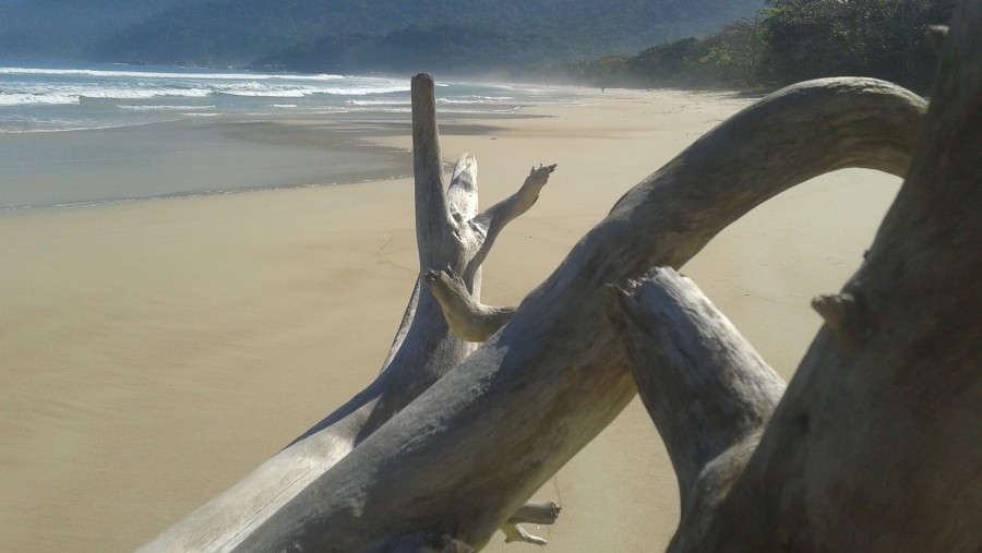  Considered on of the most beautiful beach in the world: Lopes Mendes