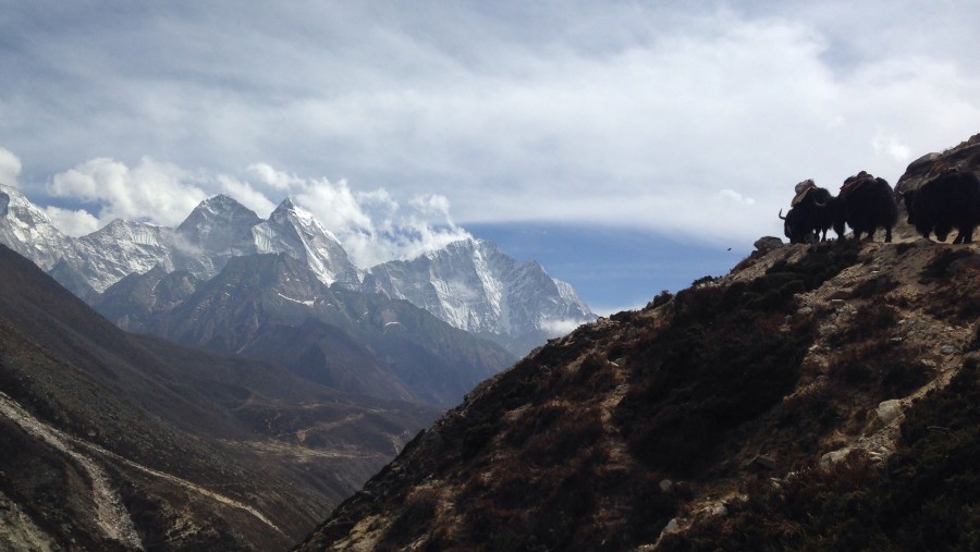 Everest Base Camp Treck Review 