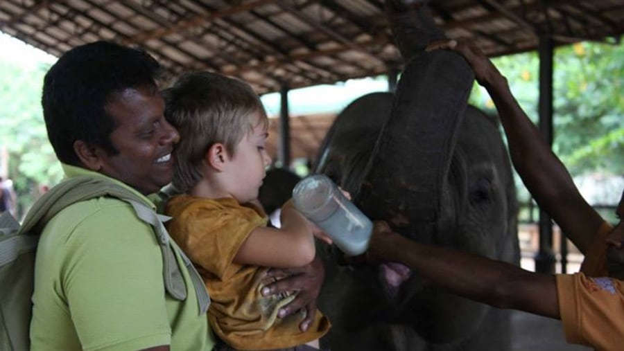 Baby feeding  Baby elephant