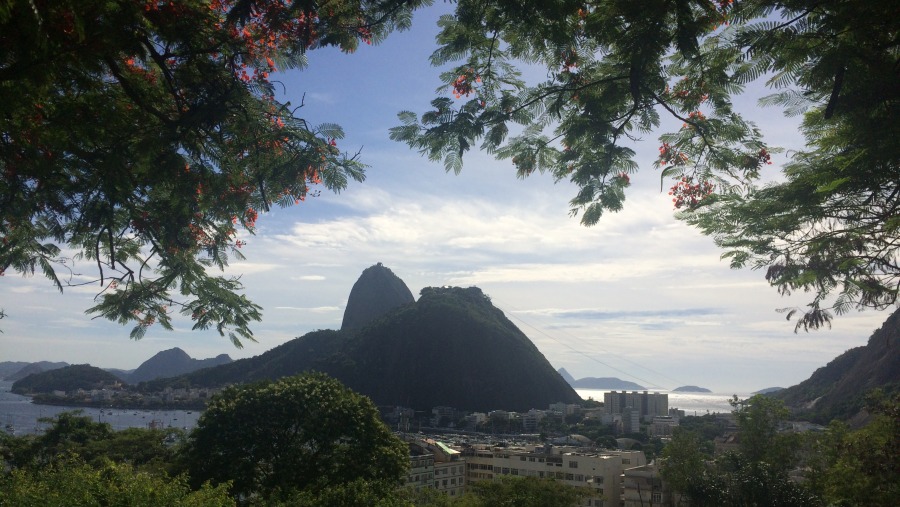 Sugar Loaf