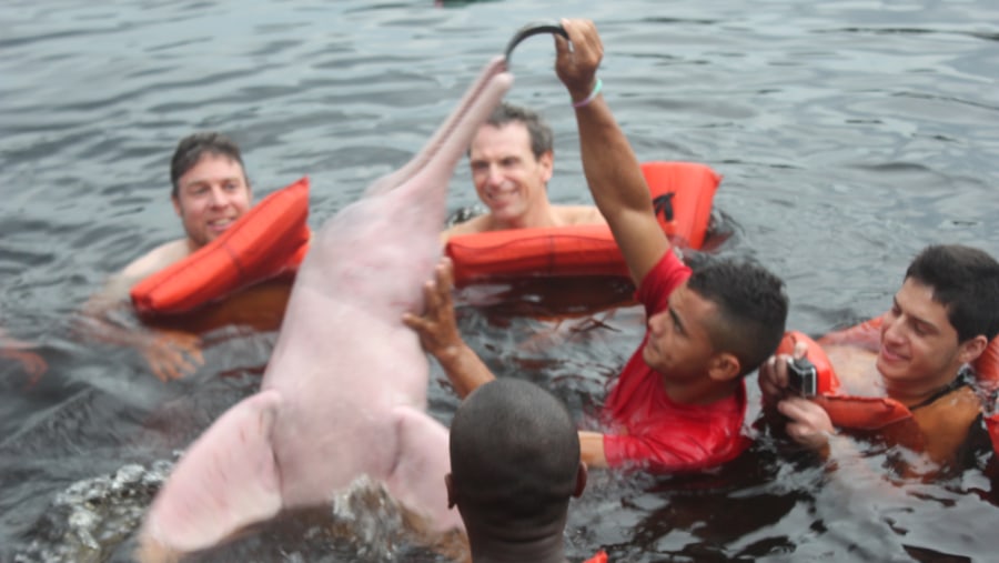swimming with the pink dolphins