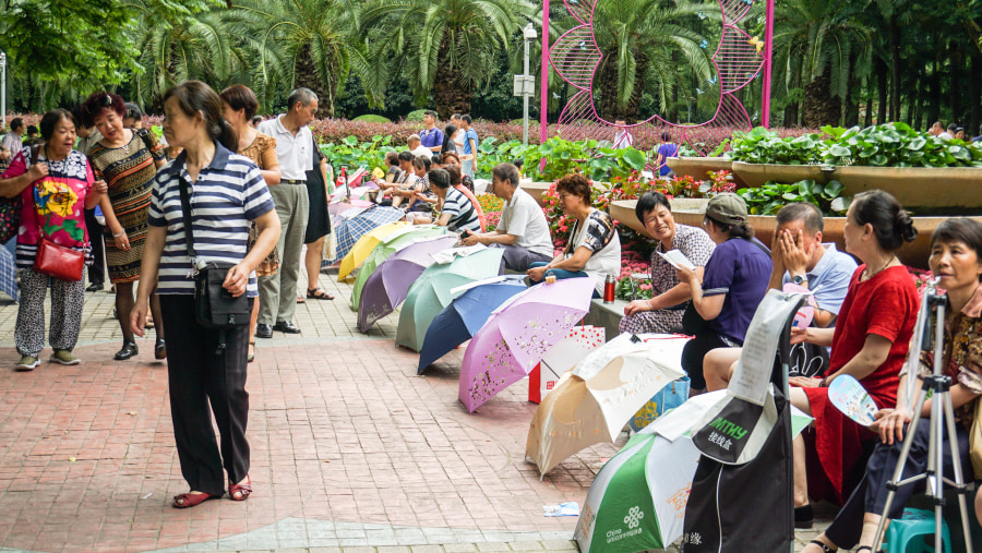 Marriage Market in the Park