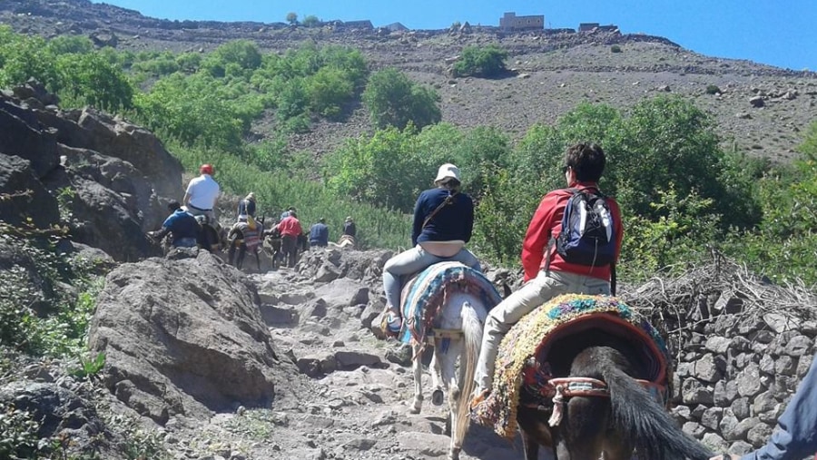 Excellent guided day tours With Houssain