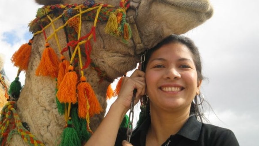 Happy camel and tourist 