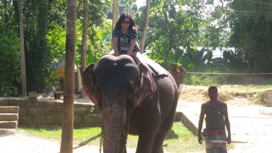 Elephant Ride 