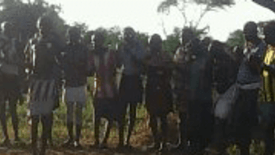 The Hamer Ethiopia Traditional Dance