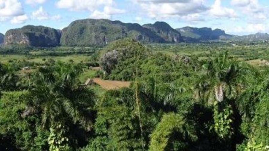 Unforgettable Cuban Adventure: Exploring Locals' Life, Nature, and Vintage Cars - An Enthusiastic Yosdahny Made it All Happen!