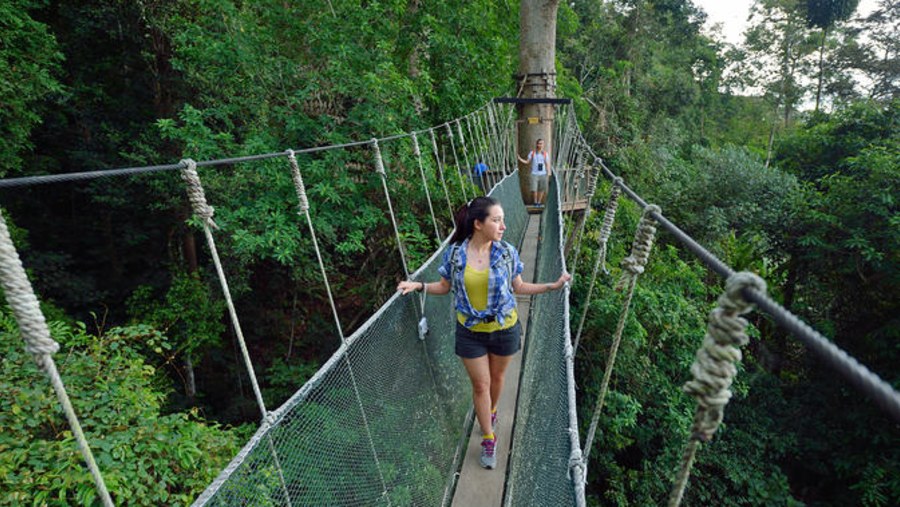 Canopy Walkway, Poring Hot Spring 