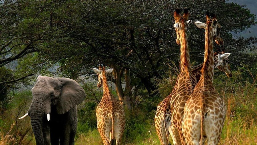 Serengeti National Park