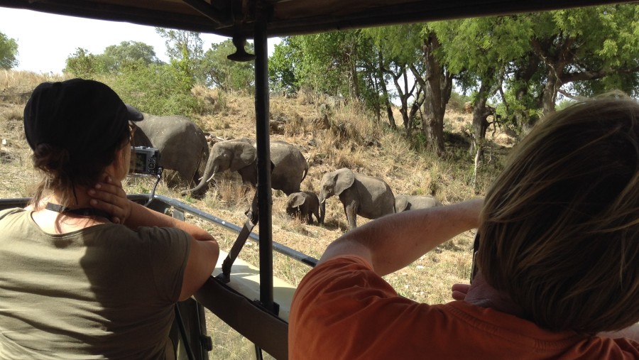 safari,mgalaa expeditions