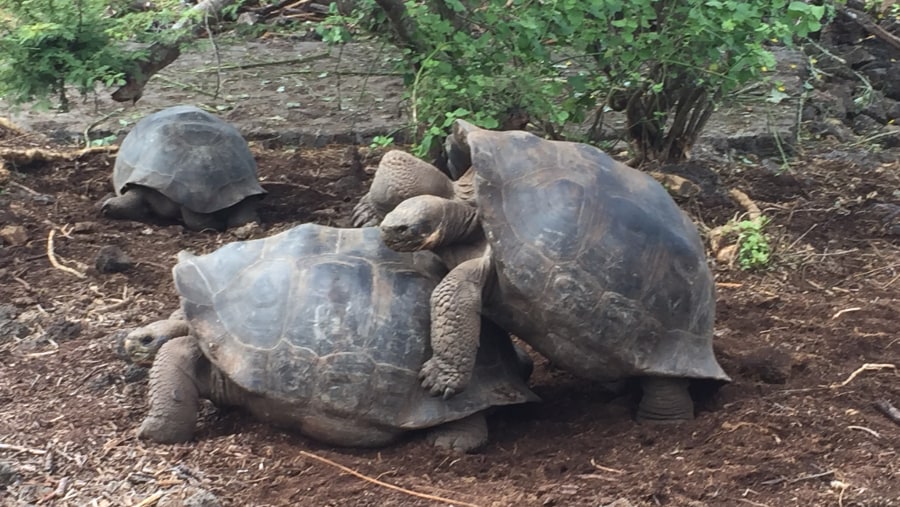 Galapagos tour