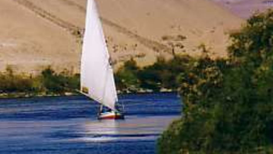 Nile felucca