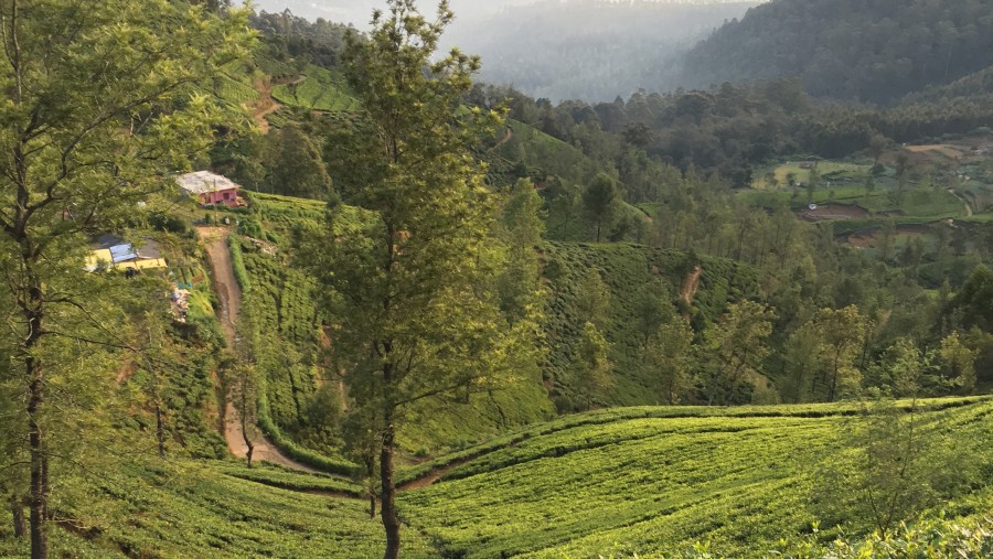 Beautiful journey in Sri Lanka