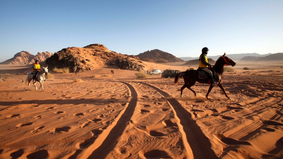 Wadi Rum Tour With HAYAT ENJOY TOURS Muhannad Alsaudi 00962776677963