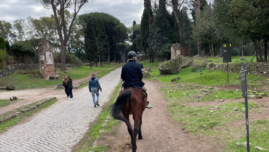 splendid horseride in the heart of Rome