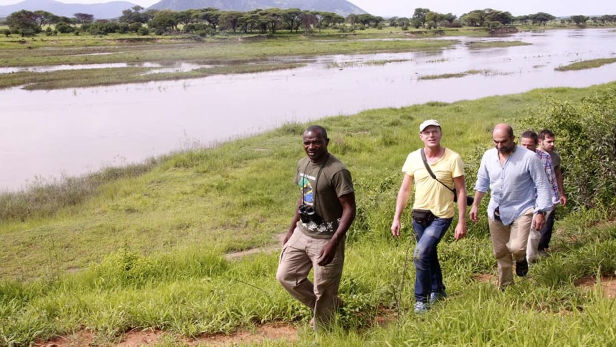 Walking Safari