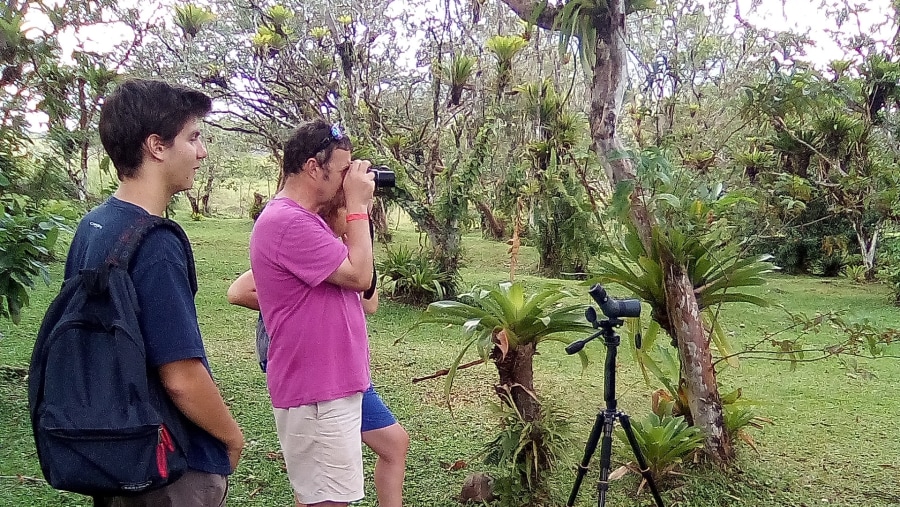 Bird warching at la fortuna rain forest reserve