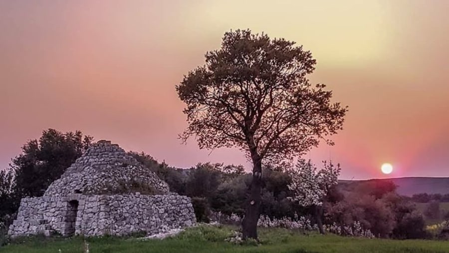 Trullo