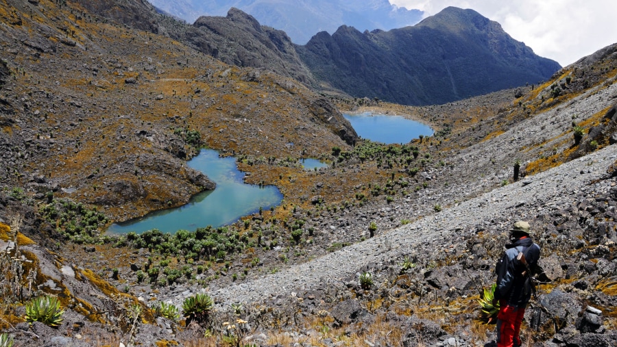 Rwenzori climbing With Obed Temba