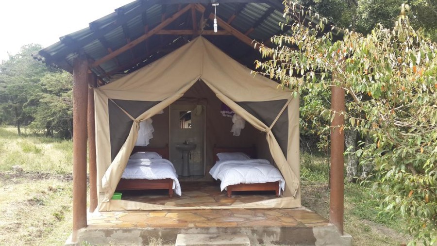  Mara Elephants Springs Budget Tented Camp