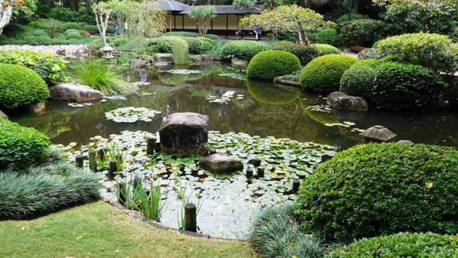 Japanese Gardens