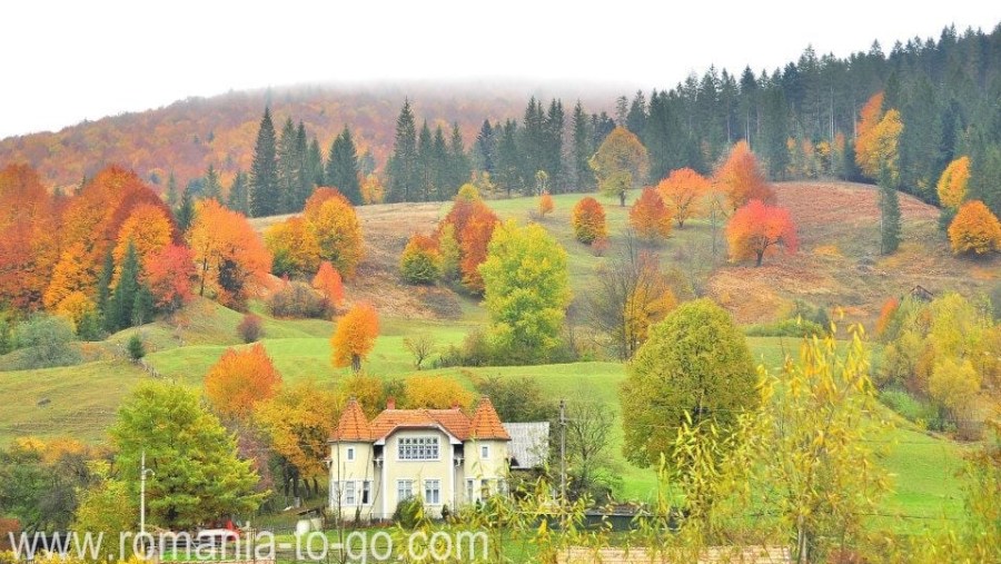 Bucovina Postcards