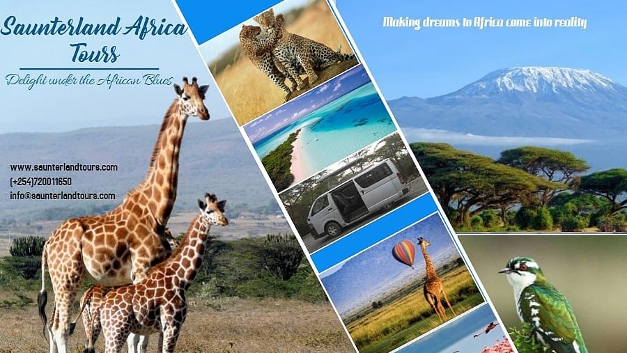 We are a your dream partner in safaris, beach holidays and mountaineering